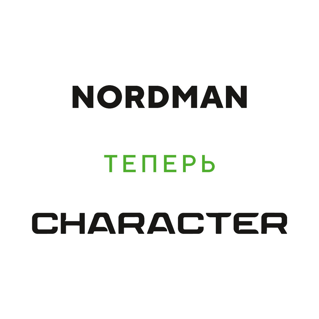 225/55  R19  Ikon (Nokian Tyres) Nordman S2 SUV (Character Aqua SUV) 99V Вид 2