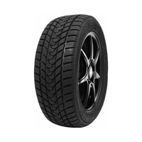 245/45  R19  Delinte Winter WD1 98S